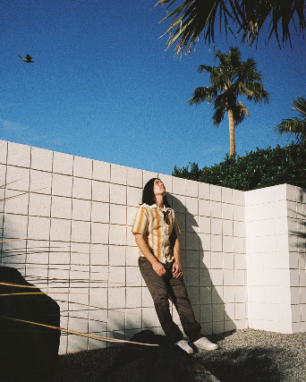 Gryffin Image