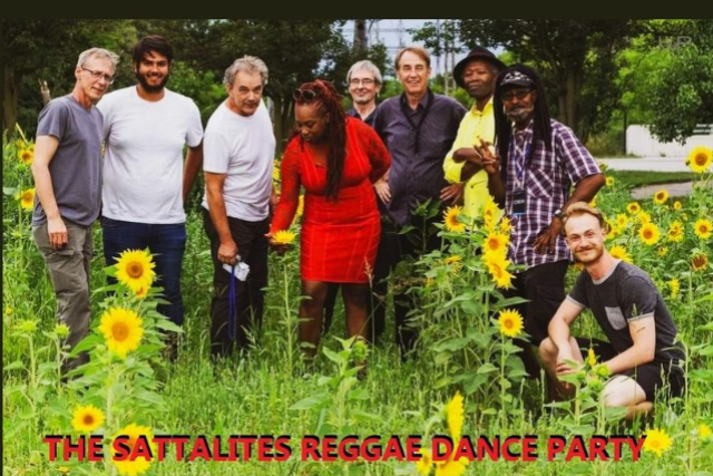 THE SATTALITES Image
