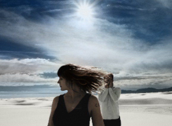 Wye Oak