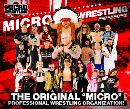 MICRO WRESTLING Image