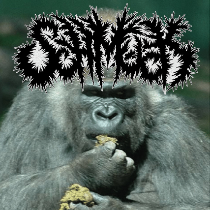 Schmuck Image
