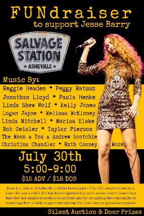 Asheville Area Musicians Image