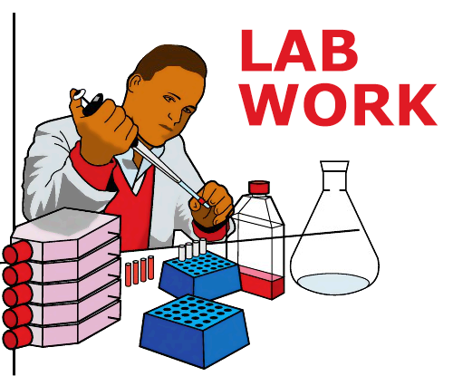 Lab Work! w/ Nichole Davis and more