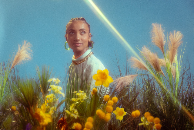 Esperanza Spalding Image