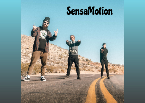 SensaMotion Image
