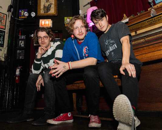 Sad House Guest Image