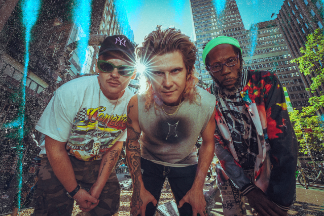 Too Many Zooz Image