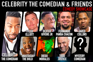 Celebrity The Comedian & Friends