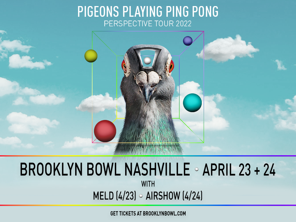 Pigeons Playing Ping Pong - Perspective Tour