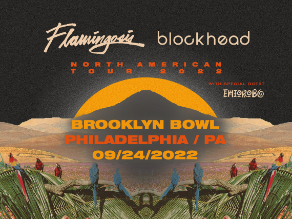 More Info for Flamingosis + Blockhead VIP Lane For Up To 8 People!