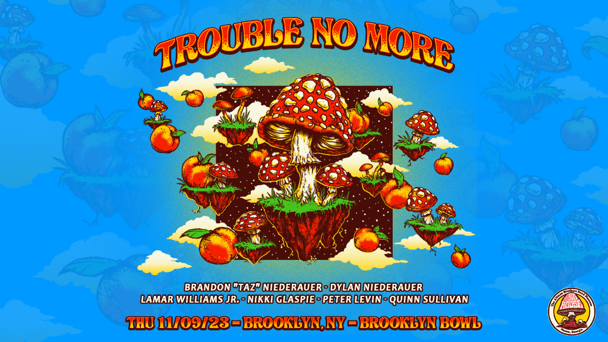 Trouble No More