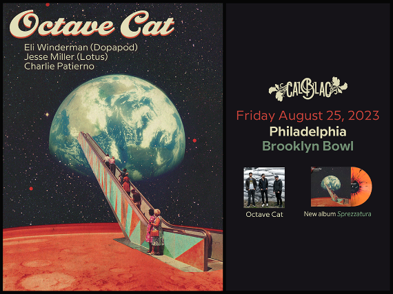More Info for Octave Cat VIP Lane For Up To 8 People!