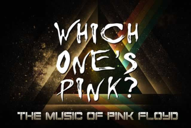 Which One's Pink?