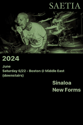SAETIA, Sinaloa, New Forms at Middle East - Downstairs