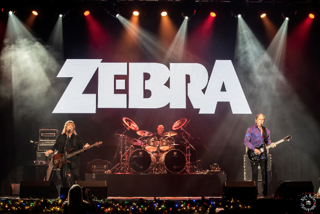 Zebra