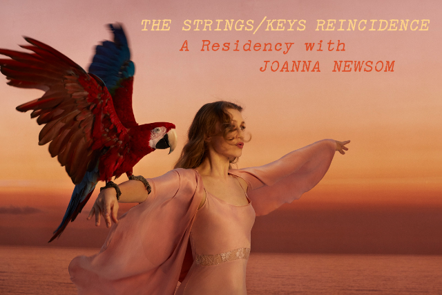 JOANNA NEWSOM – THE STRINGS/KEYS REINCIDENCE