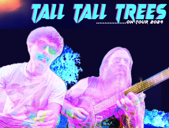 image of Tall Tall Trees
