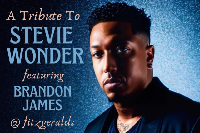 a tribute to STEVIE WONDER ft. Brandon James presales in Berwyn