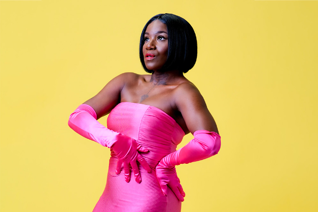 Stout: Dear Nina - A Tribute to Nina Simone feat Shedrick Mitchell