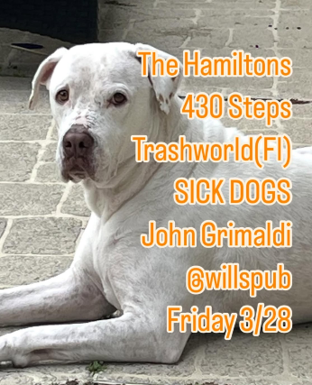 The Hamiltons, 430 Steps, Trashworld, Sick Dogs, and John Grimaldi at Will’s Pub – Orlando, FL