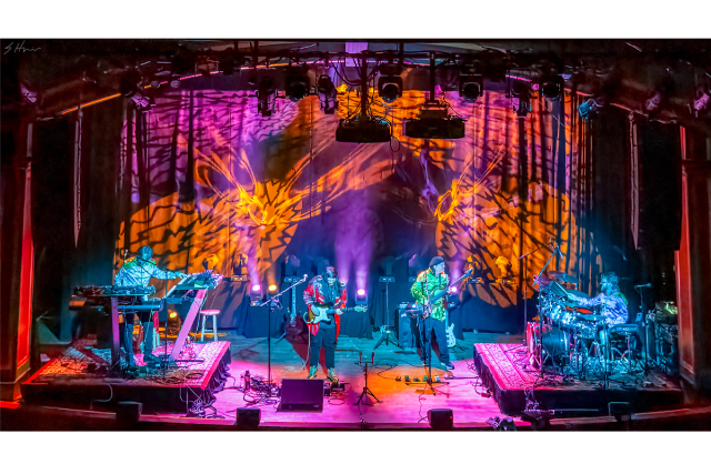 Presale codes for pink talking fish: members use these when buying pre-sale tickets