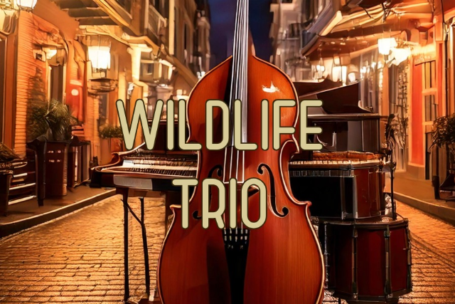 Wildlife Trio