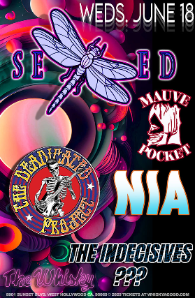 SEED, Mauve Pocket, NIA, Deadicated Project (Grateful Dead Tribute), The Indecisives