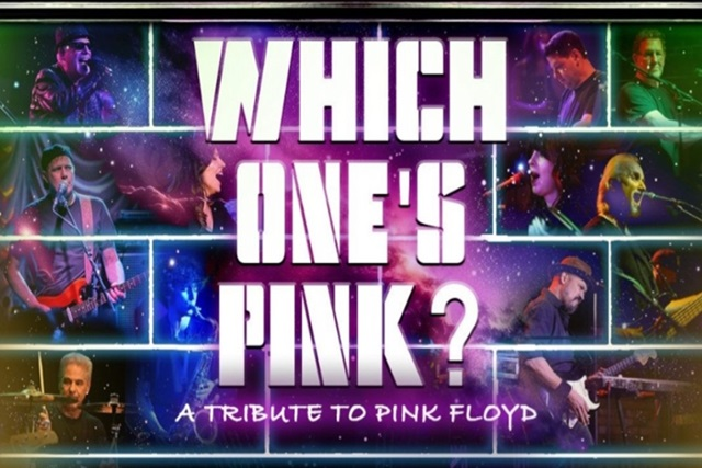 Which One's Pink
