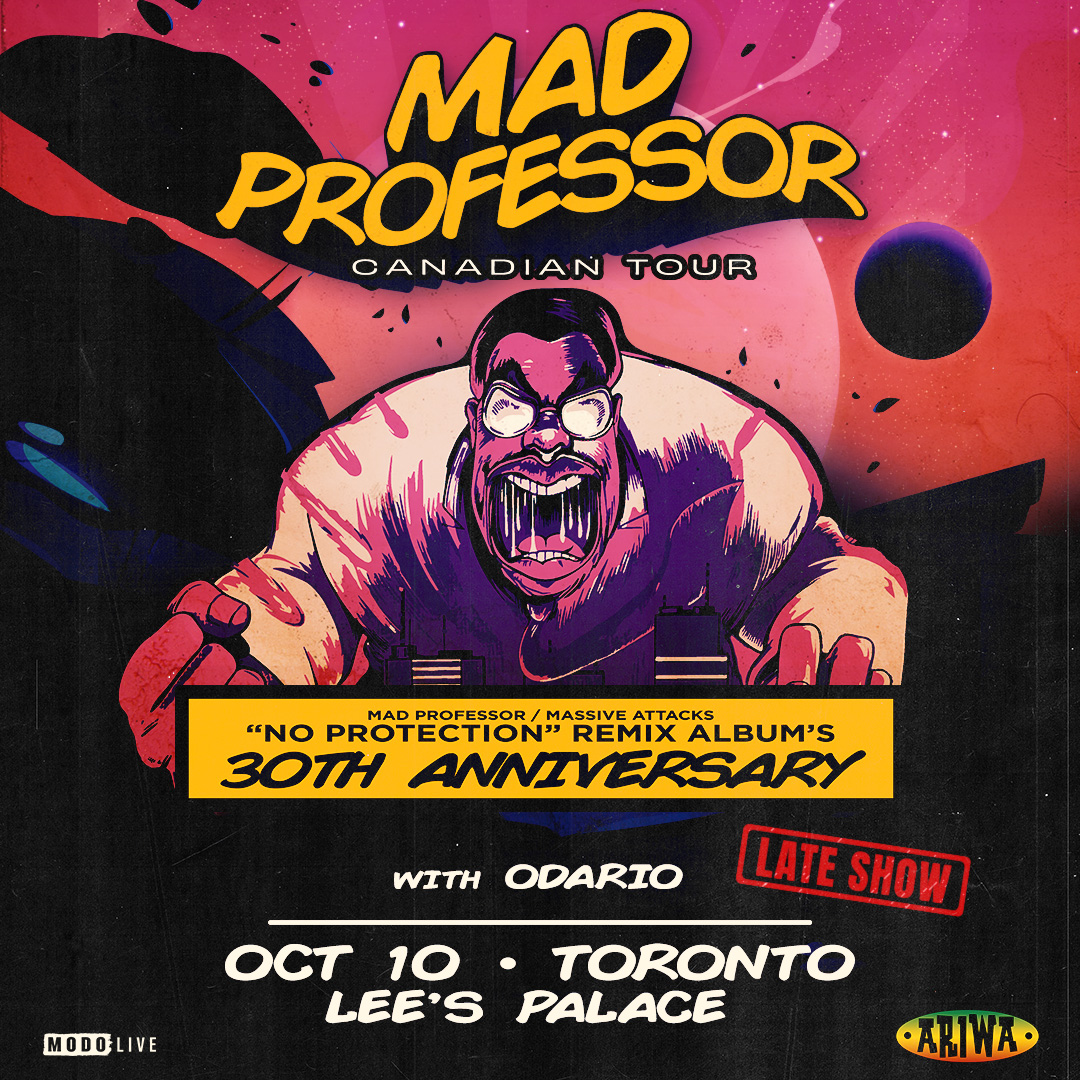 MAD PROFESSOR - 'No Protection' Remix Album's 30th Annivers...