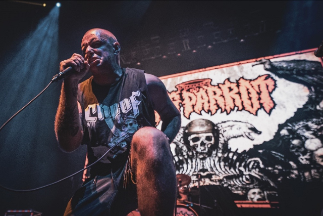 King Parrot, Squid Pisser, Bonginator, Spitting Nails