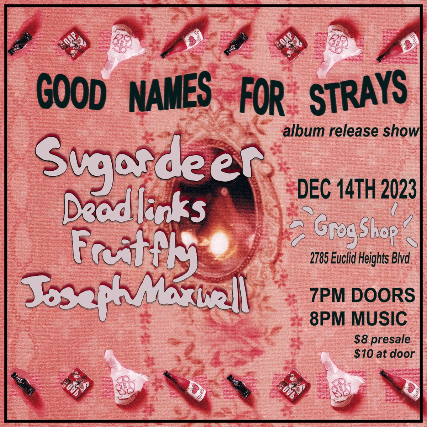 Sugardeer Good Names For Strays Album Release Show