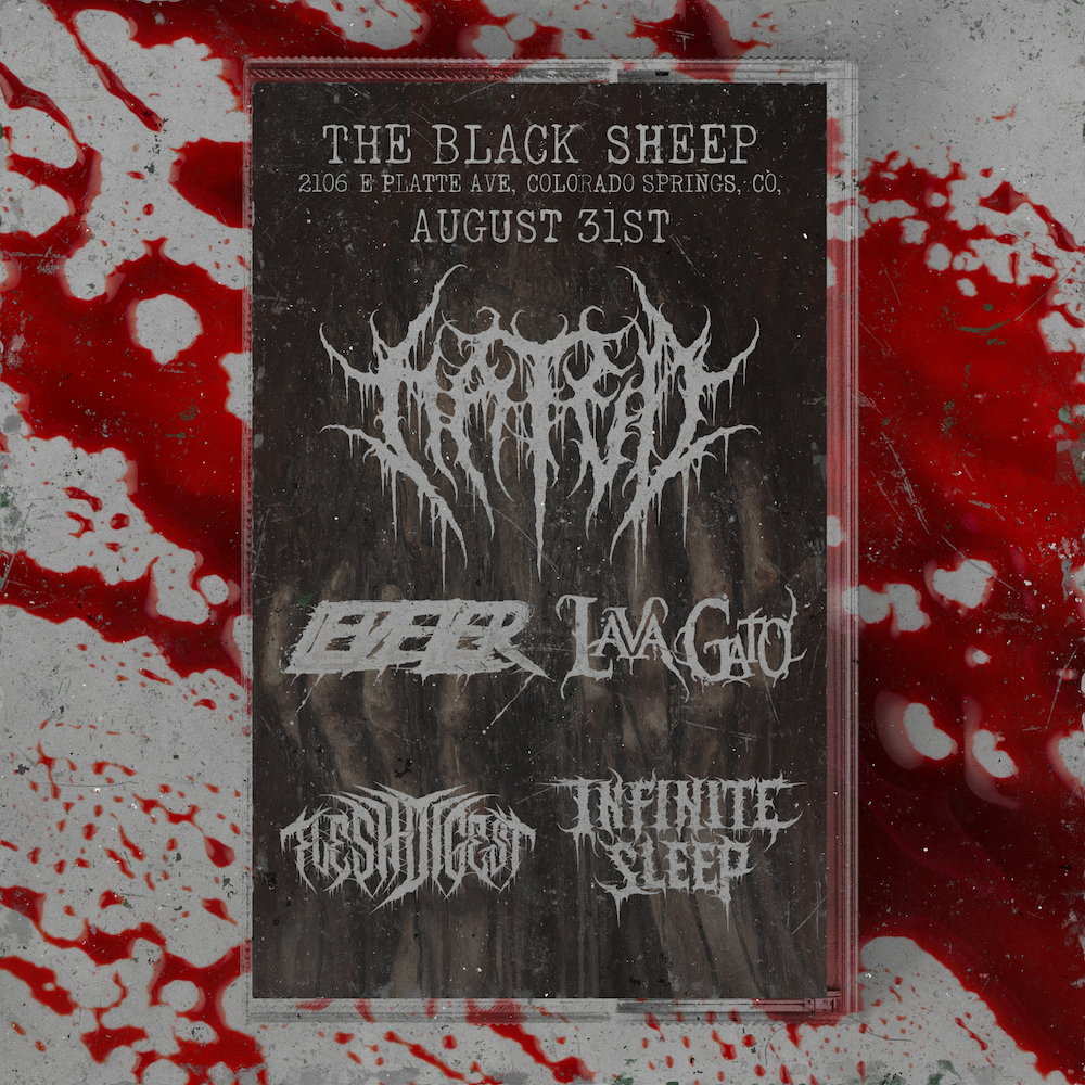 Featured Image - Hated, Leveler, LavaGato, Flesh Digest, Infinite Sleep - 31