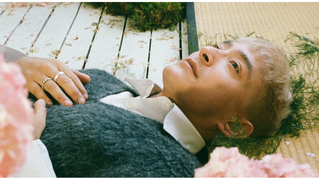 Shigeto: Cherry Blossoms Baby