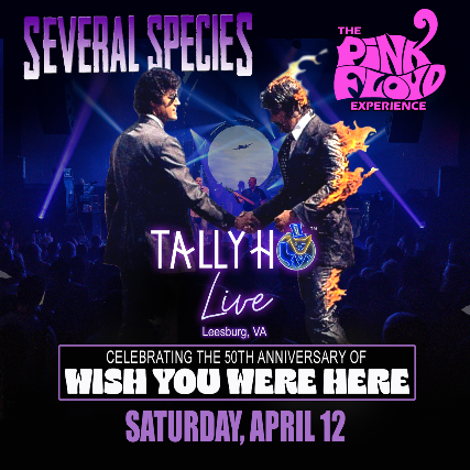 Several Species – The PINK FLOYD Experience at Tally Ho Theater – Leesburg, VA