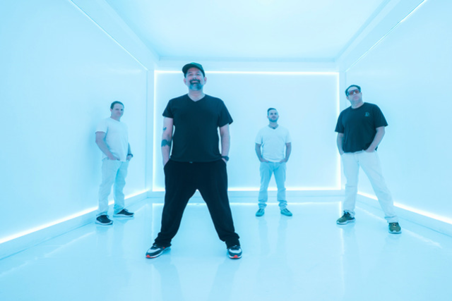 Presale codes for the disco biscuits: members use these when buying pre-sale tickets