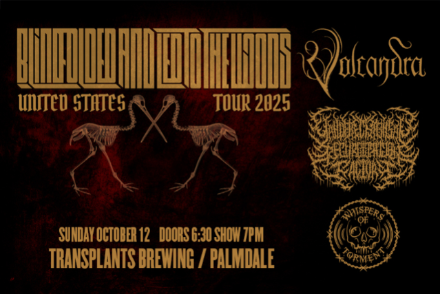 FREE SHOW: BLINDFOLDED AND LED TO THE WOODS / VOLCANDRA / YCRF / WHISPERS OF TORMENT