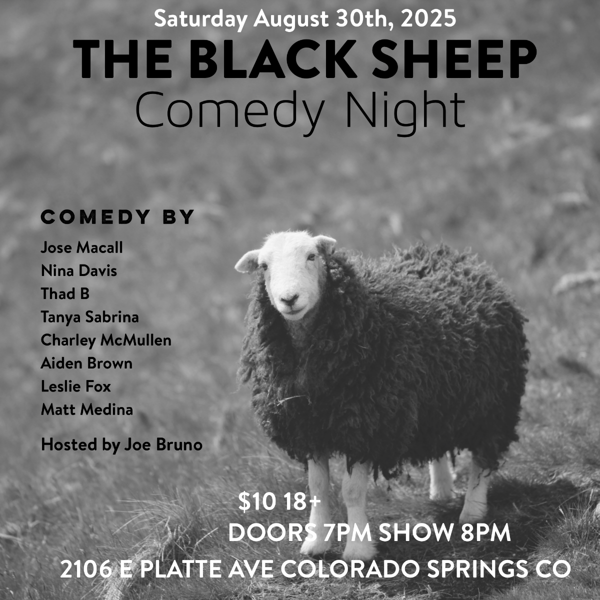 Featured Image - The Black Sheep Comedy Night - 30