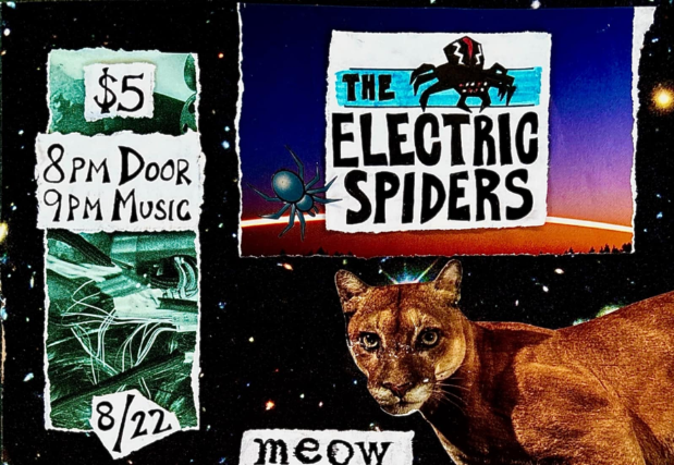 FIVE DOLLAR FRIDAY ft. The Electric Spiders / Vicious Fishes / Meow Meow at The Bug Jar – Rochester, NY