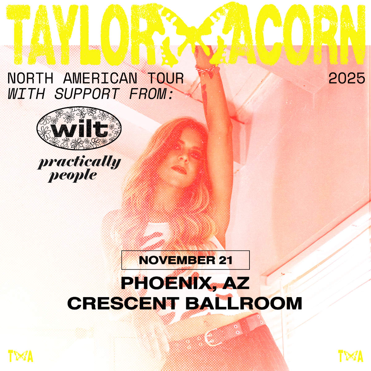 Taylor Acorn