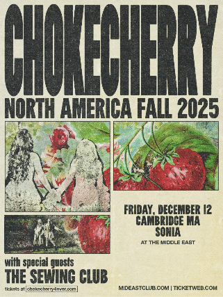 chokecherry, The Sewing Club at Sonia – Cambridge, MA