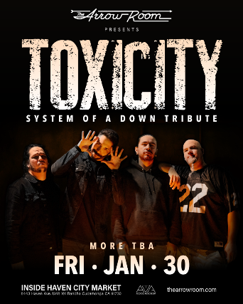 Toxicity - System Of A Down tribute and more
