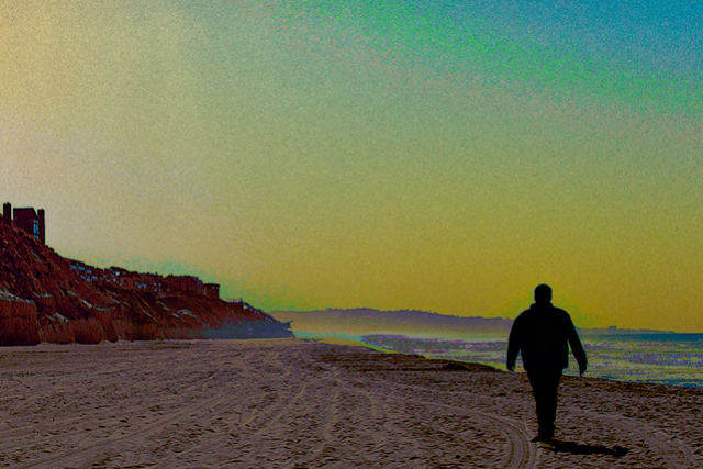 Presale codes for dogs in a pile: members use these when buying pre-sale tickets