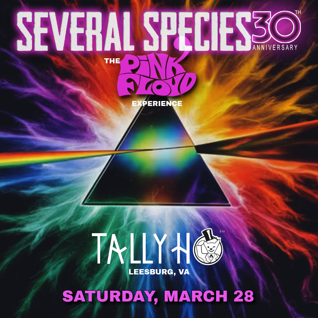 Several Species – The PINK FLOYD Experience | Event Image