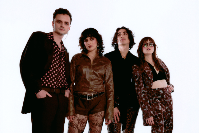 Presale codes for the happy fits: members use these when buying pre-sale tickets