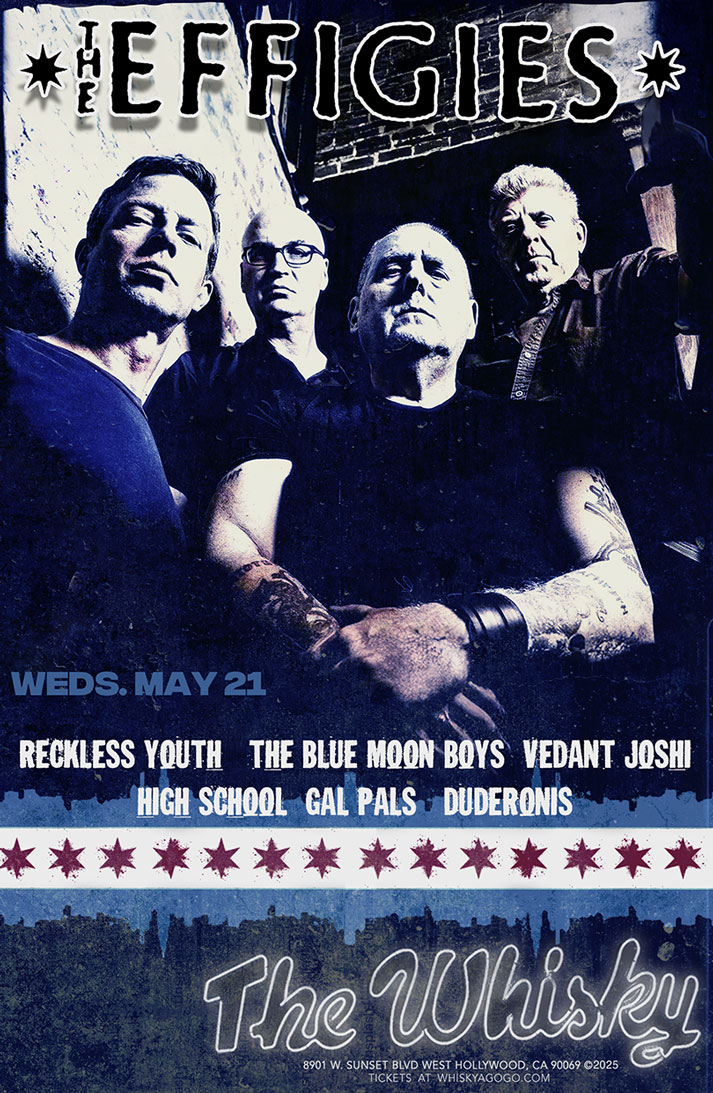 The Effigies, Reckless Youth, The Blue Moon Boys, Vedant Joshi, High School, Gal Pals, Duderonis