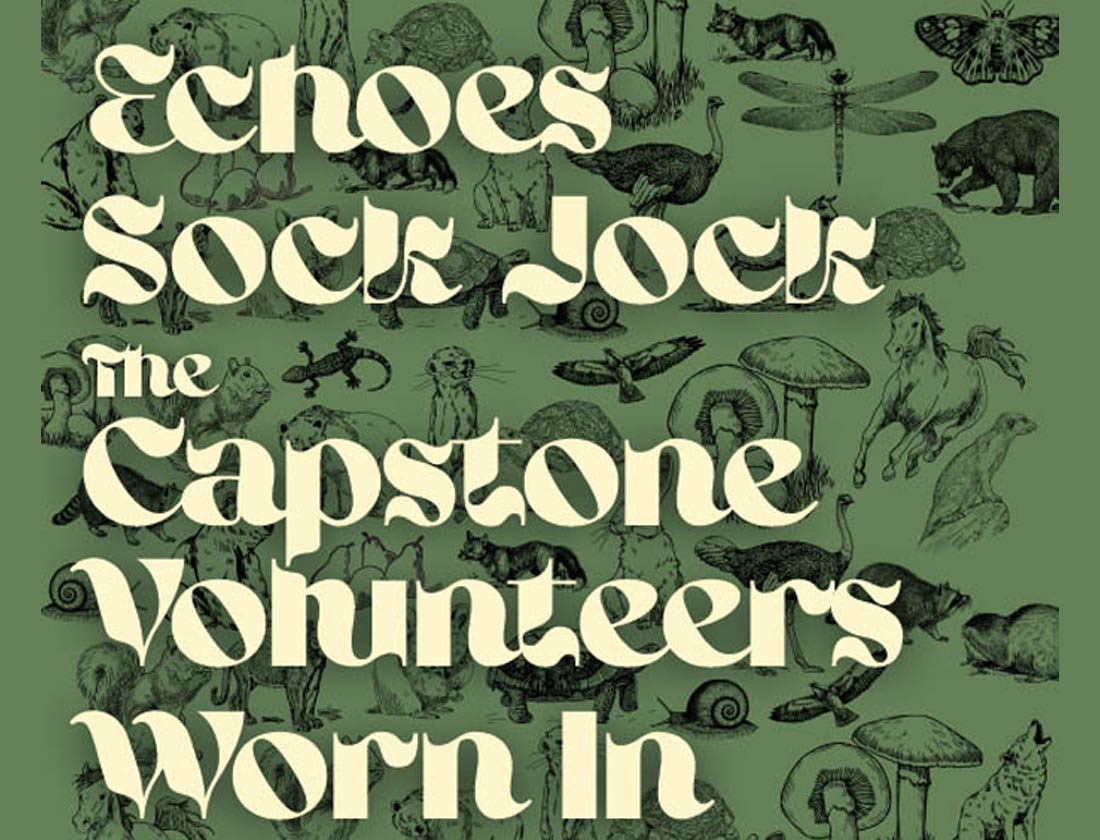 Echoes | The Capstone Volunteers | Worn In | Sock Jock