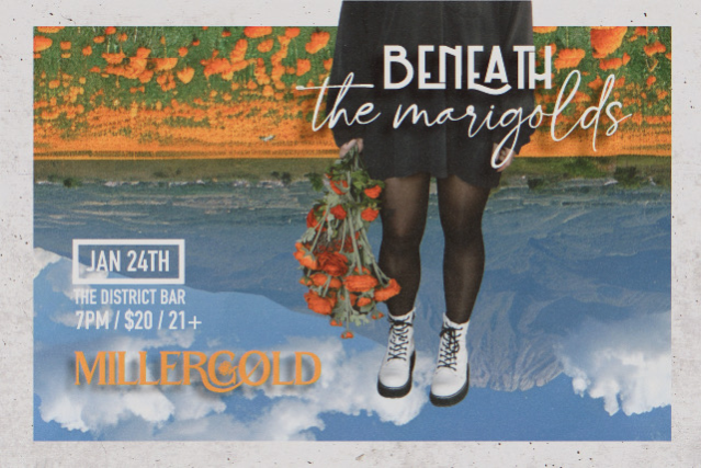 Image of Millergold: Beneath the Marigolds Image of Millergold: Beneath the Marigolds