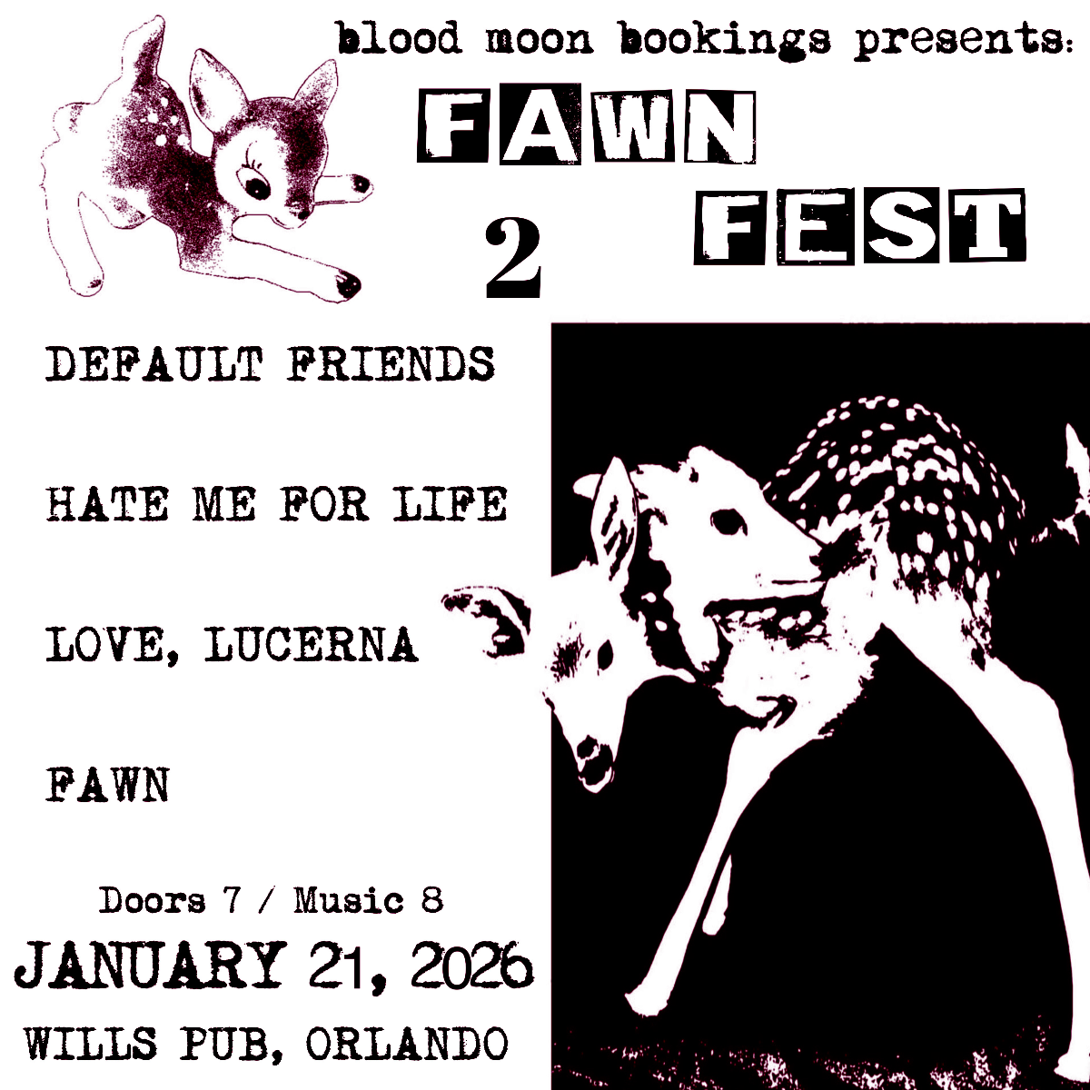 Fawn Fest 2.0