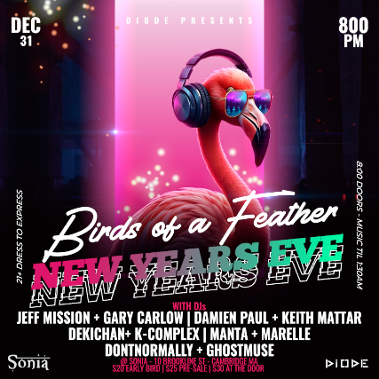 Birds of a Feather: a DIODE NYE Fundraiser at Sonia – Cambridge, MA