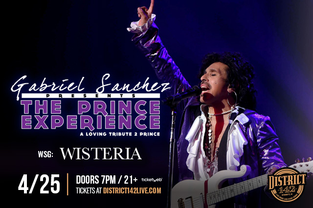 THE PRINCE EXPERIENCE